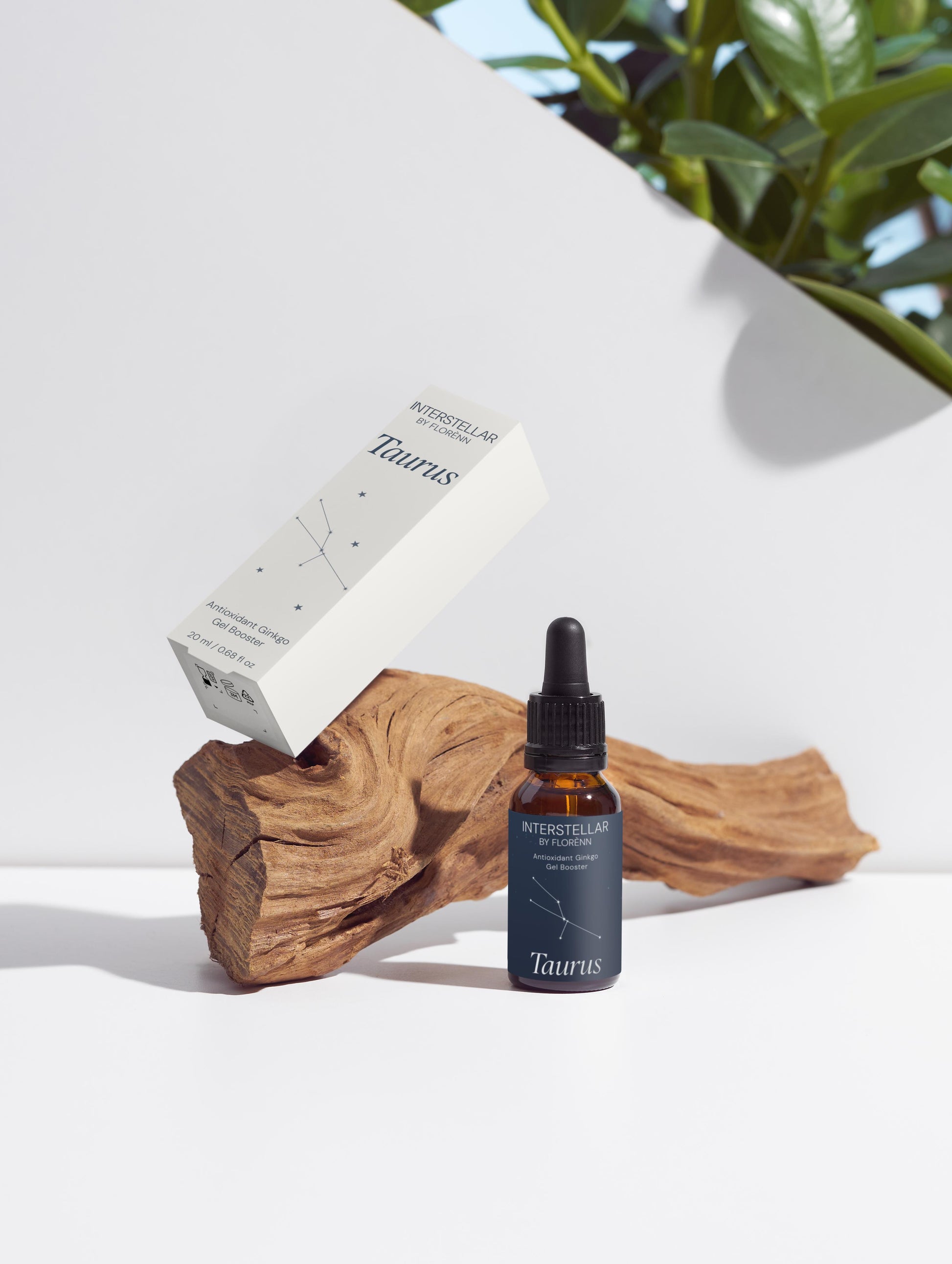 FLORÈNN - Antioxidant Ginkgo Gel Booster
